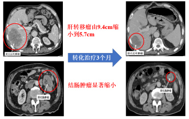 微信图片_20241112100205.png